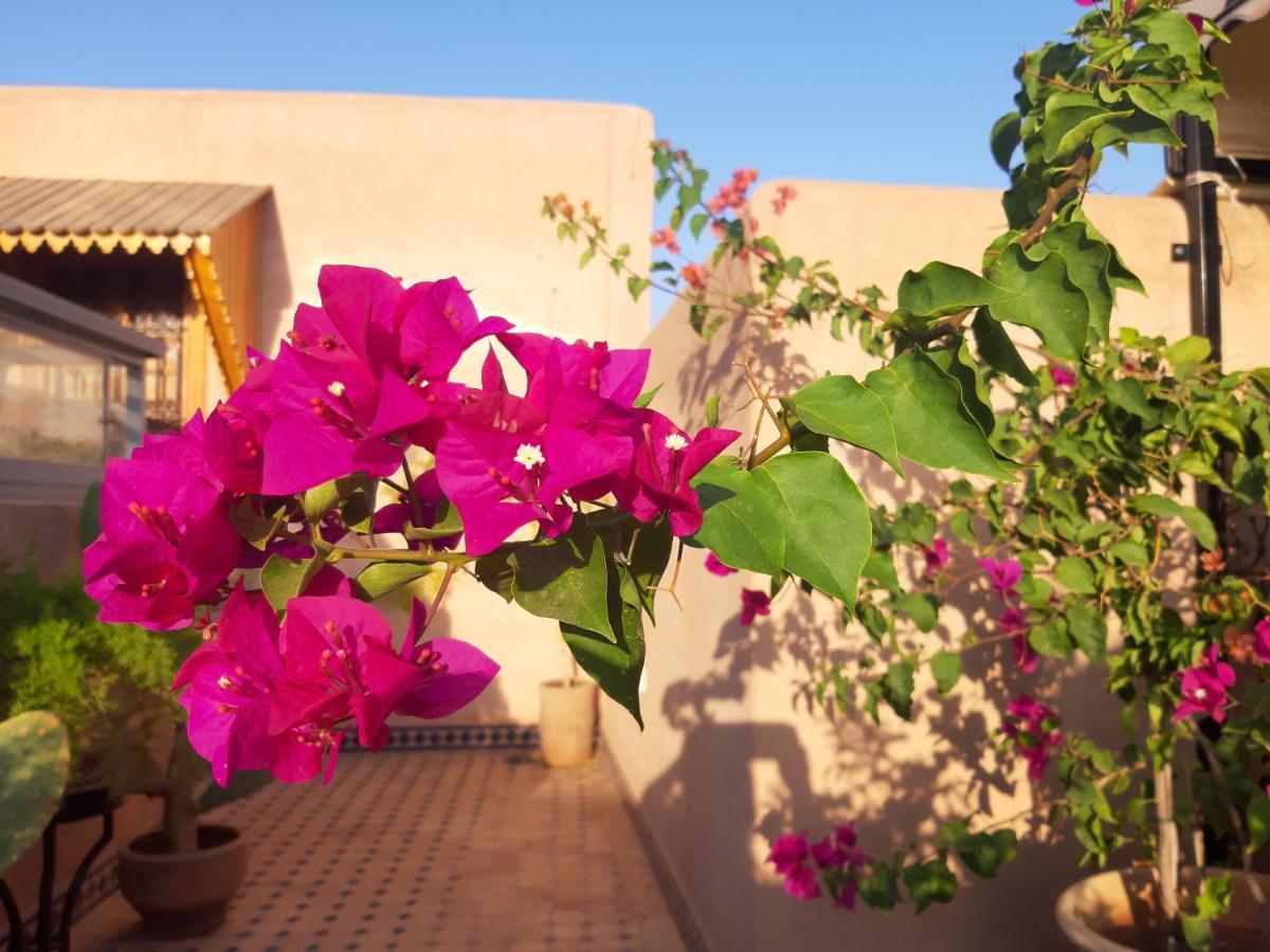Riad Miral Marakeş Dış mekan fotoğraf
