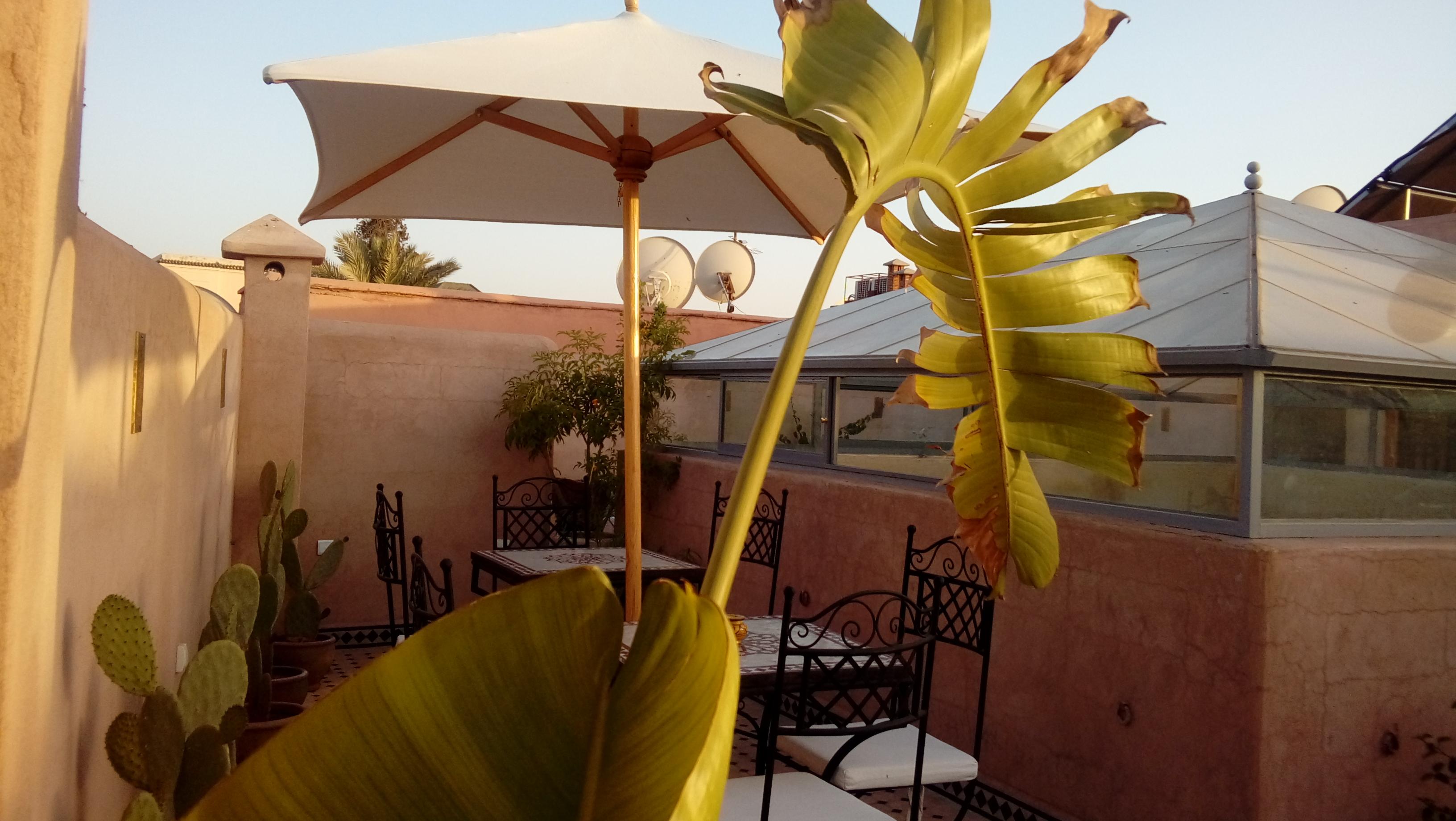 Riad Miral Marakeş Dış mekan fotoğraf